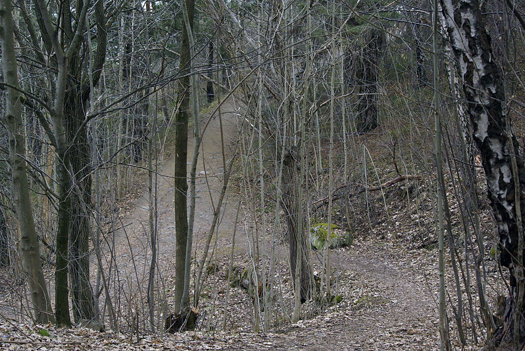 Parklomme i stikryss Parklomme i stikryss