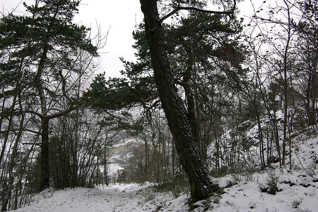 Utsiktsplass 3 panorama