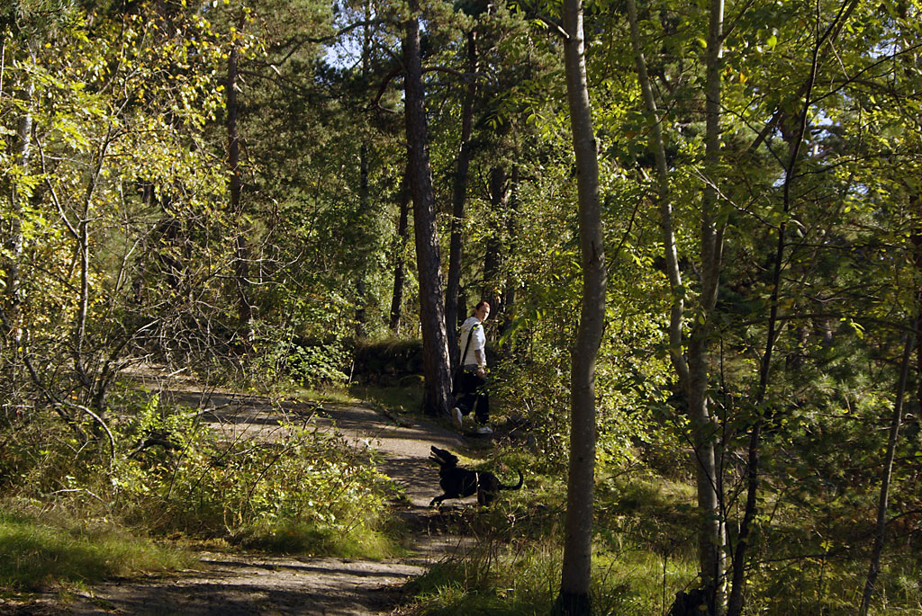 Jente på småfuglstien Jente på småfuglstien