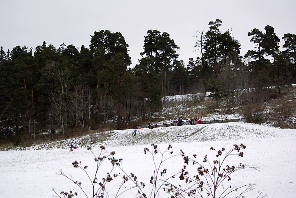 Barn og vinter
