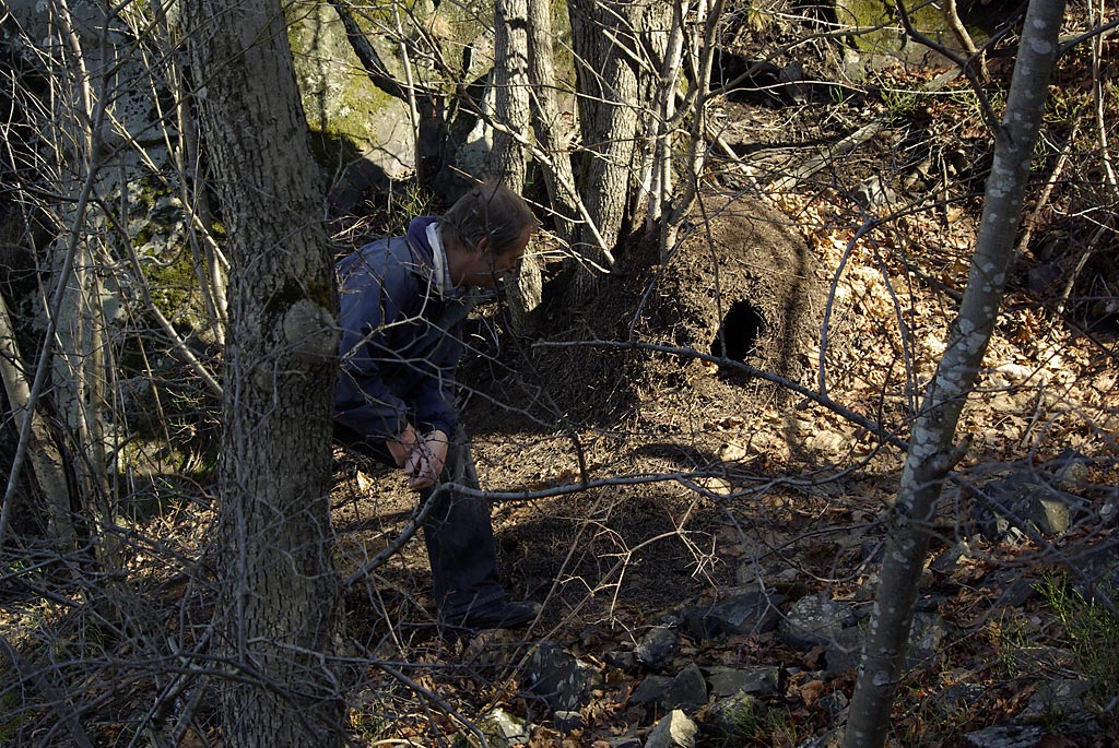 Oslomann opplever natur