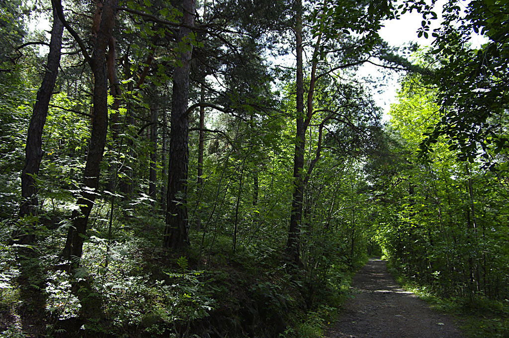 Hvor mye utsikt trenger vi ?