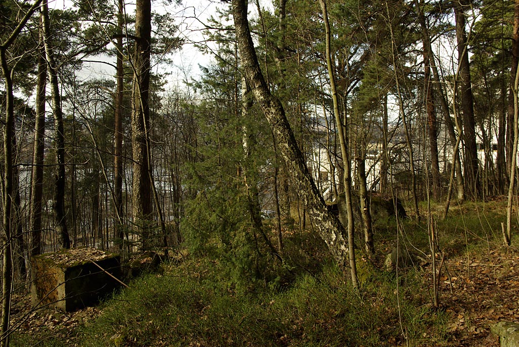 Paviljong i skogen til kunstutstillinger ? Paviljong i skogen til kunstutstillinger ?
