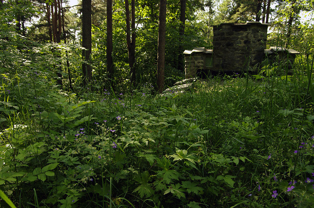 Rasteplass med blomster ?