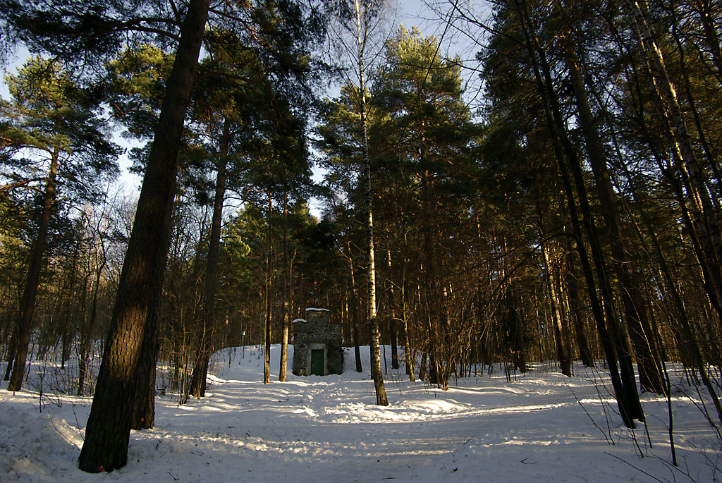Vannspeil versus vinterskog Vannspeil versus vinterskog