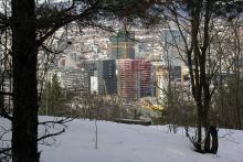 Er det så mye å se på alle steder ?