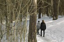 På tur fra Gamlebyen