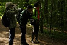 Fuglekikkere en tidlig morgen