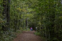 Hvem lager vi parken for ?