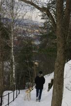 Med hund ned Geitespranget