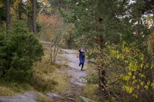 Orienteringsløp i spetteskogen