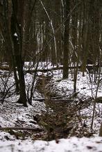 Nok veier i kjerneområde 4