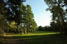 Slette øst for steingarden