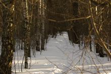 Øststien vinterstid